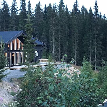 Lillebjørn Villa Trysil Eksteriør billede