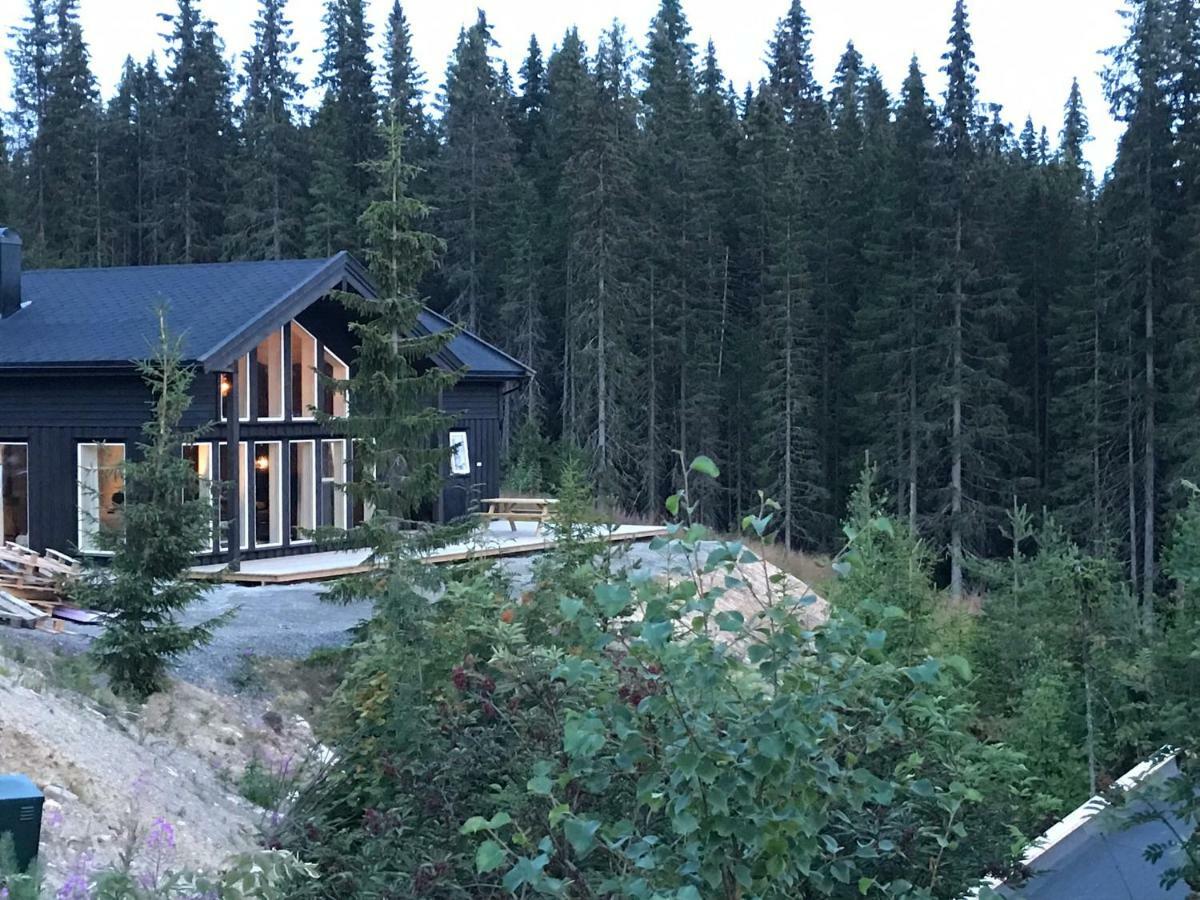 Lillebjørn Villa Trysil Eksteriør billede