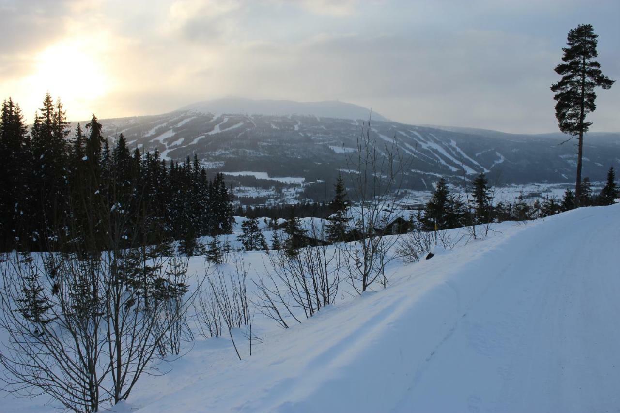 Lillebjørn Villa Trysil Eksteriør billede