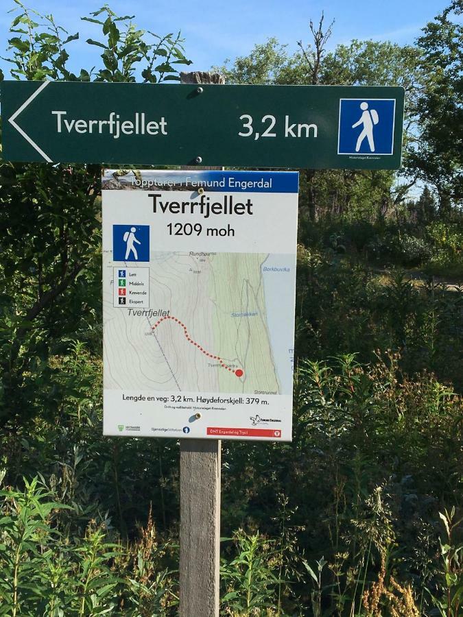 Lillebjørn Villa Trysil Eksteriør billede